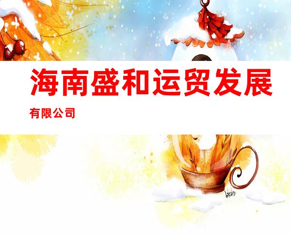 海南盛和运贸发展有限公司